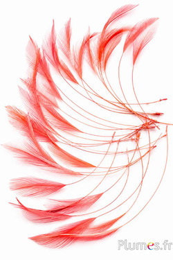 Hahn - 10-15 cm - lachs